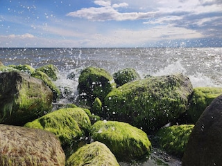 Casa de vacaciones Hyldtofte  34