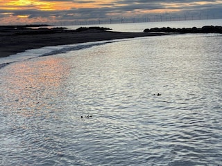 Ferienhaus Hyldtofte  9