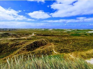 Maison de vacances Bjerregård  31