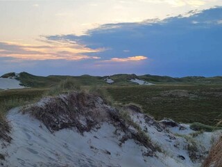 Ferienhaus Bjerregård  28