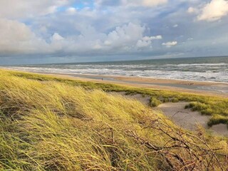 Ferienhaus Bjerregård  22