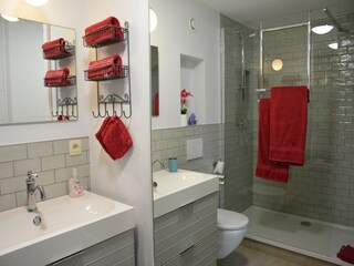 Castello Saint-Hubert Caratteristiche 24