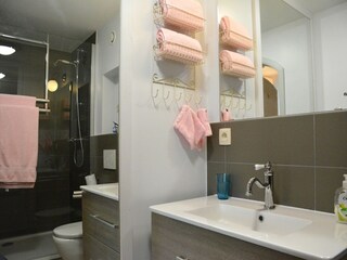 Castello Saint-Hubert Caratteristiche 33