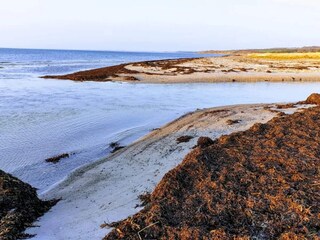 Casa per le vacanze Bjerge Strand  29