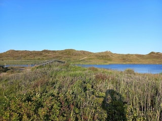 Ferienhaus Henne Strand  14