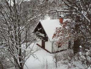 Agréable maison de vacances à Rudník avec terrasse - Roudnik - image1