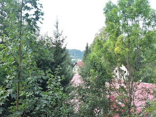 Ferienhaus Rudnik Außenaufnahme 8