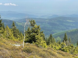 Ferienhaus Rudnik Umgebung 33