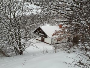 Agréable maison de vacances à Rudník avec terrasse - Roudnik - image1