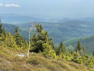 Casa per le vacanze Rudnik Ambiente 34