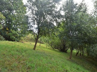 Casa per le vacanze Rudnik Registrazione all'aperto 12