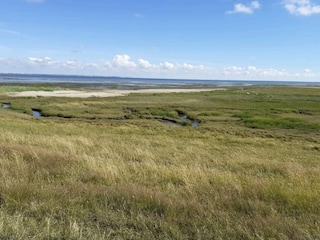 Ferienhaus Kongsmark  30