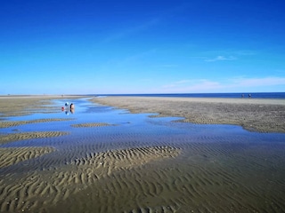 Ferienhaus Kongsmark  38