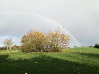 Holiday house Sønderballe  42