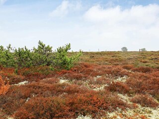 Vakantiehuis Læsø  5
