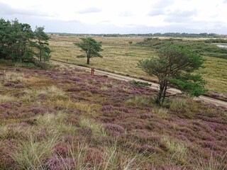 Vakantiehuis Vejers Strand  4