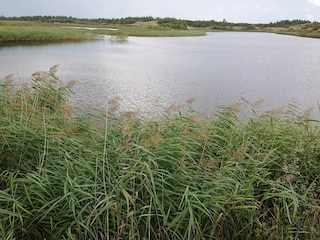 Vakantiehuis Vejers Strand  30