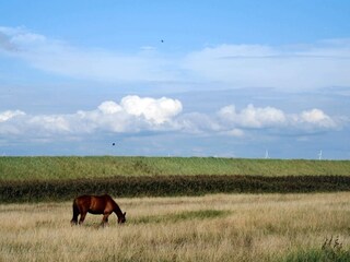 Casa de vacaciones Harboøre  17