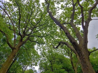 Ferienhaus Oksbøl  31