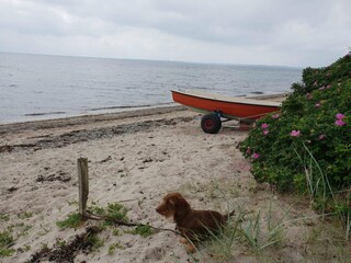 Vakantiehuis Sønderballe  35