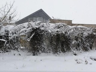 Casa vacanze Waimes Ambiente 29