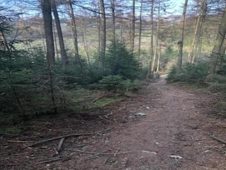 Cottage Waimes Umgebung 36