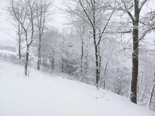 Cottage Waimes Umgebung 39