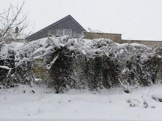 Cottage Waimes Umgebung 40