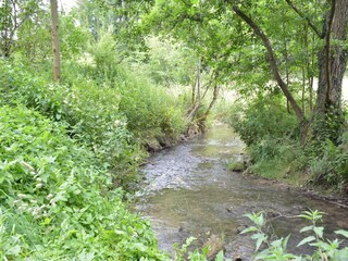 Casa de vacaciones Beauraing Entorno 26