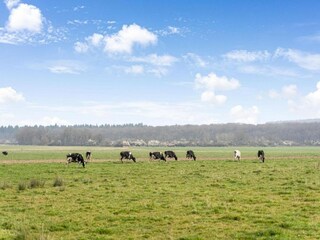 Vakantiehuis Beauraing Omgeving 31