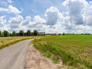 Vakantiehuis Maarkedal Omgeving 26