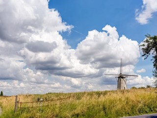 Vakantiehuis Maarkedal Omgeving 30