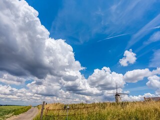 Vakantiehuis Maarkedal Omgeving 32