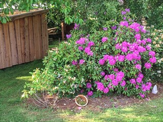 Maison de vacances Sydals Enregistrement extérieur 4