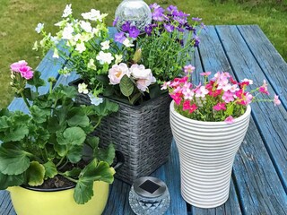 Maison de vacances Südschweden Enregistrement extérieur 1