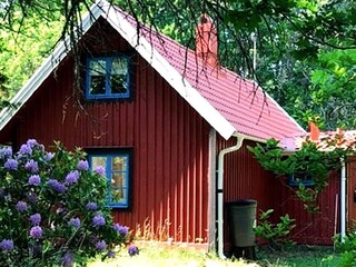 Ferienhaus Südschweden Außenaufnahme 7