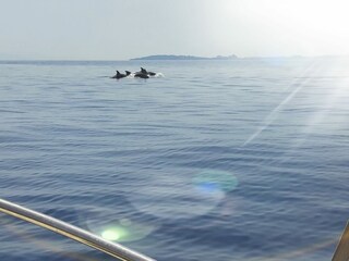 Villa Barbati Environnement 20