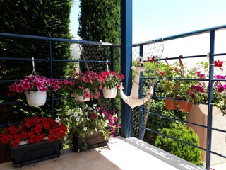 Villa Barbati Enregistrement extérieur 8