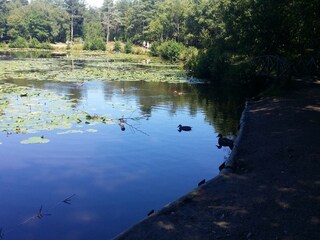 Maison de vacances Aalbæk  12