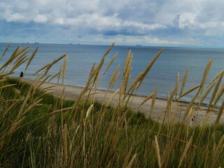 Ferienhaus Aalbæk  38