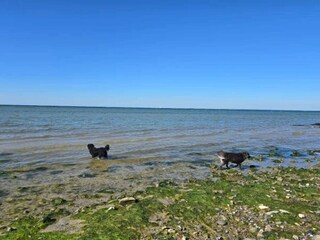 Maison de vacances Nordborg  44