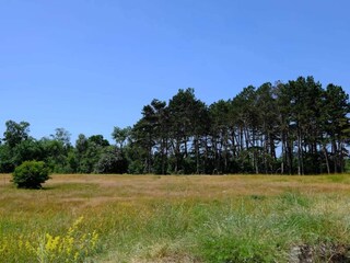 Vakantiehuis Marielyst  35