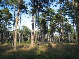 Vakantiehuis Marielyst  26