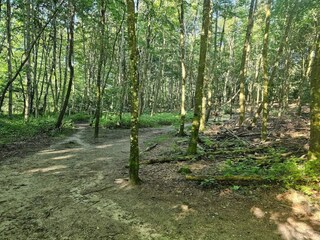 Vakantiehuis Ry  43