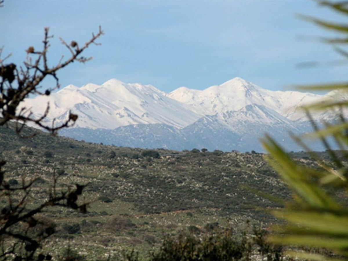 Sicht auf die Weißen Berge