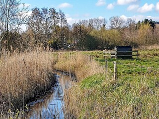 Vakantiehuis Broager  14