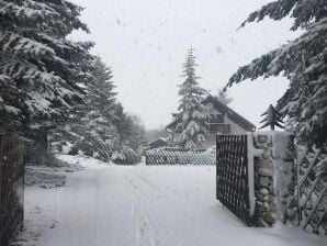 Comfortabel en sfeervol vakantiehuis met privé zwembad op prachtige locatie - Levinská Olešnice - image1