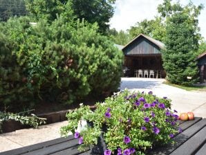 Ferienhaus mit privatem Pool - Levínská Olešnice - image1