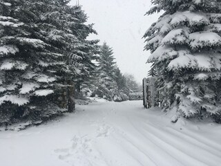 Casa de vacaciones Levínská Olešnice Grabación al aire libre 4