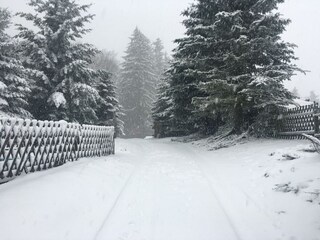 Holiday house Levínská Olešnice Outdoor Recording 9